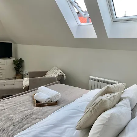 Treetess Centre شقة براغ