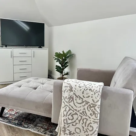 Treetess Centre شقة براغ