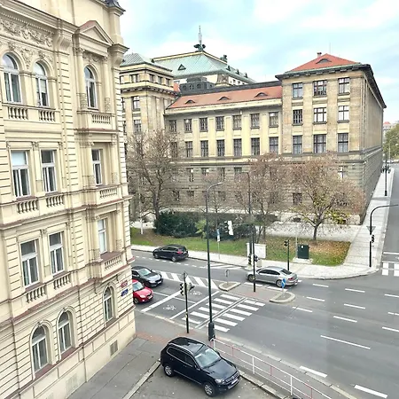 شقة Treetess Centre *