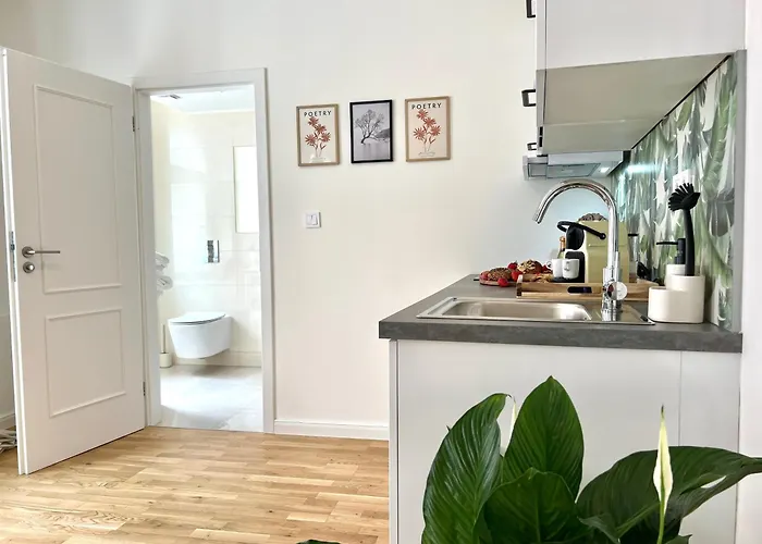 Treetess Centre Appartement